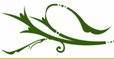 Arabic Design