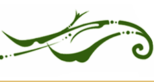 Arabic Design 2